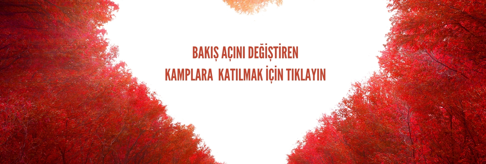  bakış açını değiştiren   kamplara  katılmak için tıklayın 